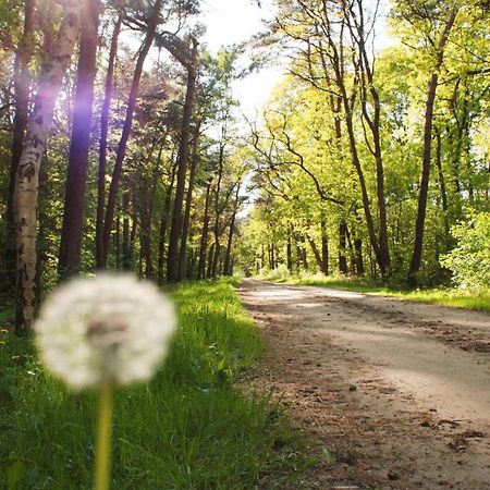 Natuurhuisje Even Niets ゼルヘーム エクステリア 写真