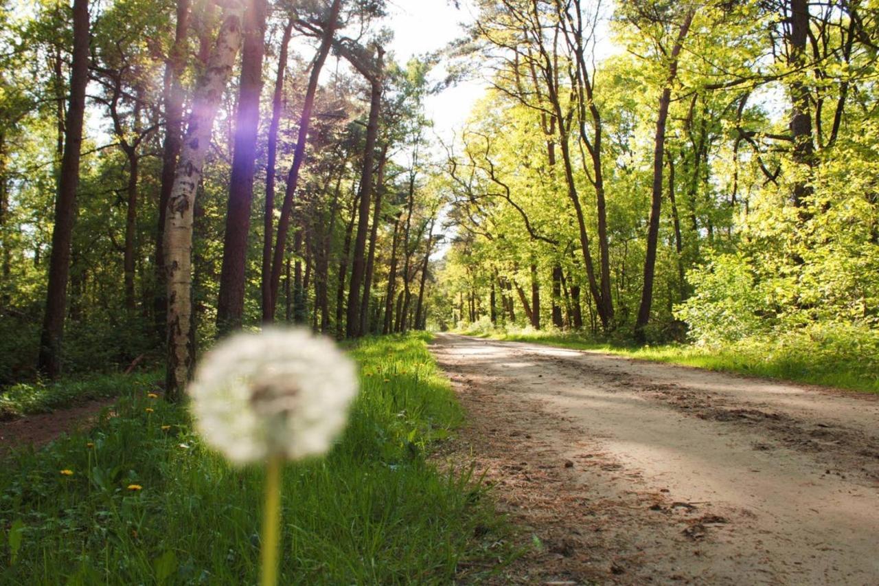 Natuurhuisje Even Niets ゼルヘーム エクステリア 写真